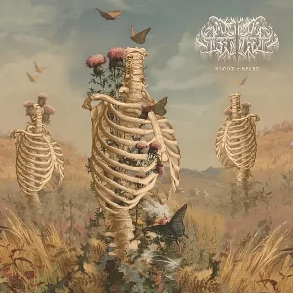 Bloom & Decay album cover - Dawn Treader (2024)