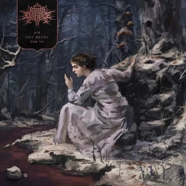 Air Not Meant for Us album cover - Fires in the Distance (2023)