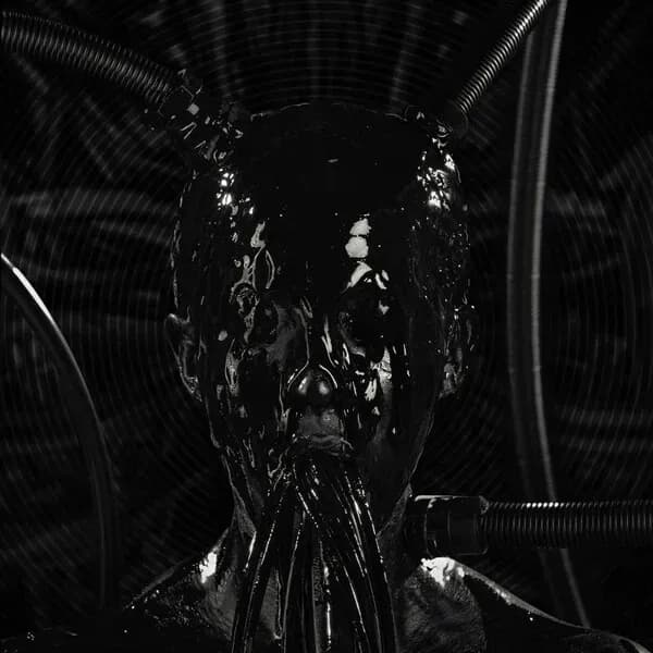 Introsphere album cover - Gravemind (2024)