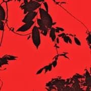 Album cover for Trhä - monta ana also