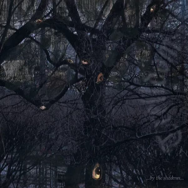 ...by the Shadows... album cover - Trelldom (2024)