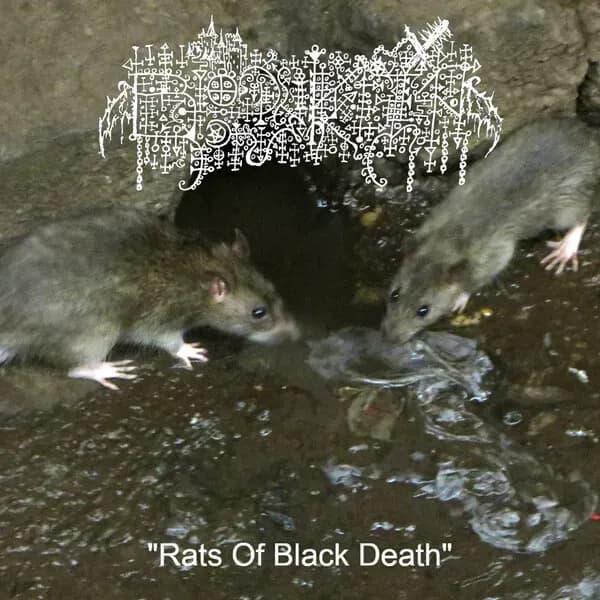 Rats of Black Death album cover - Bloody Keep (2024)