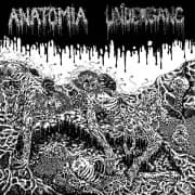 Album cover for Anatomia,Undergang - Anatomia / Undergang