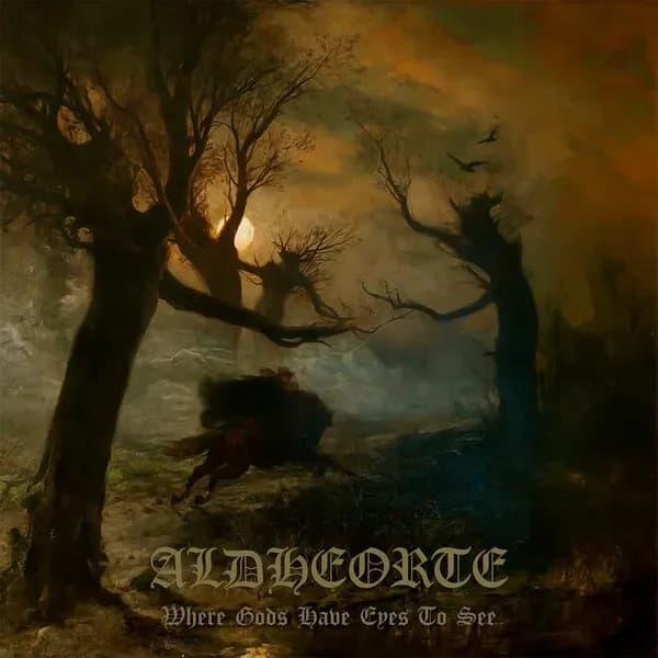 Where Gods Have Eyes To See album cover - Aldheorte (2024)
