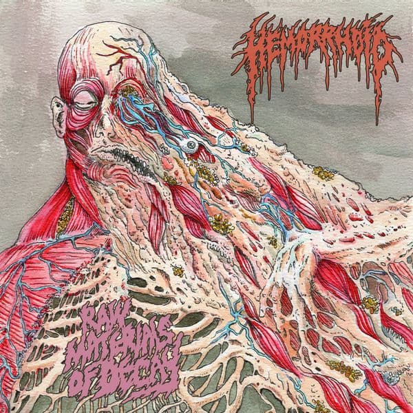 Raw Materials of Decay album cover - Hemorrhoid (2024)