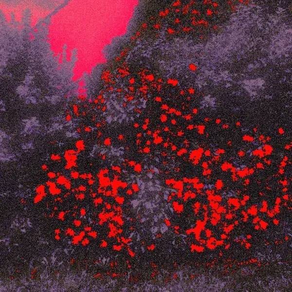 di najb tu natálja ibajnma ëct / lämèàen'th album cover - Trhä, Coffret de Bijoux (2024)