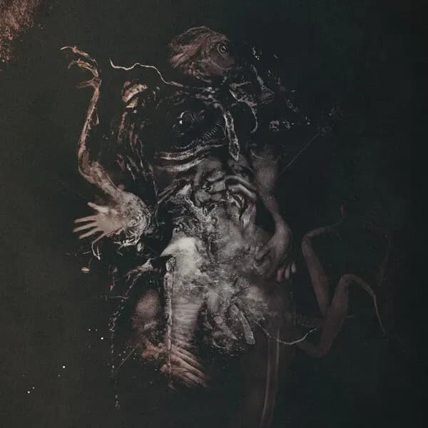 Malivore album cover - Hasard (2023)