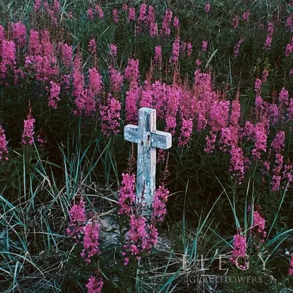 Graveflowers album cover - Elegý (2024)