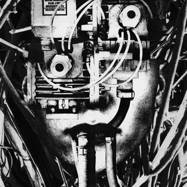 Lower Form Resistance album cover - Dissimulator (2024)