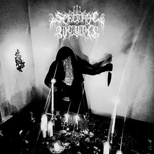 Songs of Blood and Mire album cover - Spectral Wound (2024)