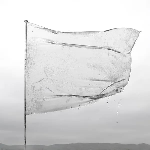 The Shape of Fluidity album cover - Dool (2024)