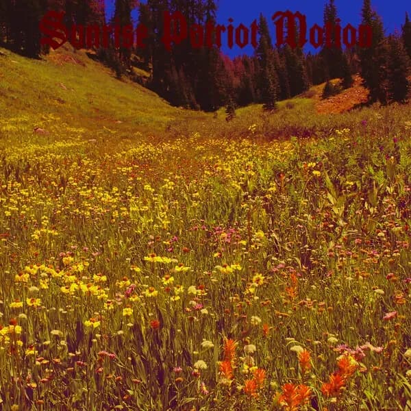 Black Fellflower Stream album cover - Sunrise Patriot Motion (2022)