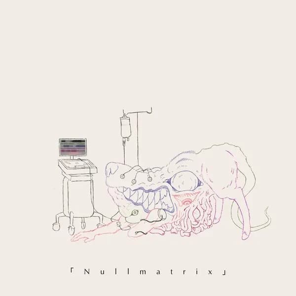 Nullmatrix album cover - Strawberry Hospital (2024)
