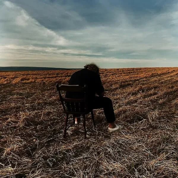 Die Laughing. album cover - ZOMBIESHARK! (2024)