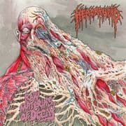 Album cover for Hemorrhoid - Raw Materials of Decay