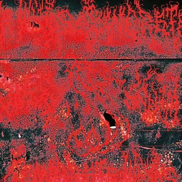 Concrete Winds album cover - Concrete Winds (2024)