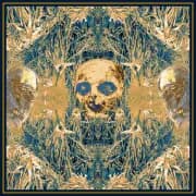 Album cover for Kostnatění - Úpal