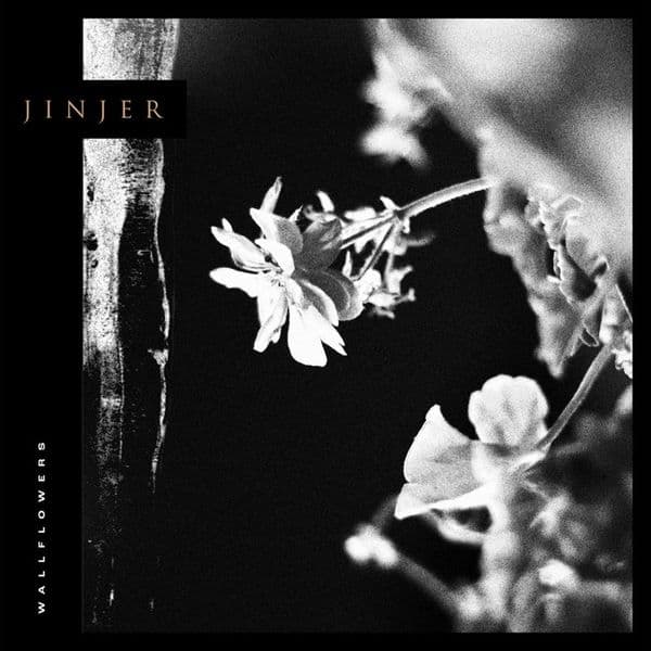 Wallflowers album cover - Jinjer (2021)