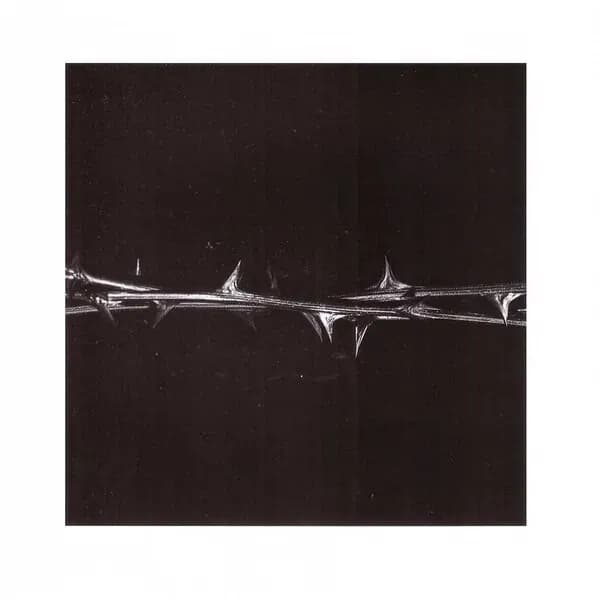 De doorn album cover - Amenra (2021)